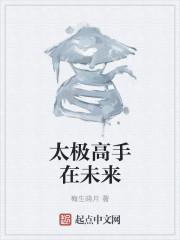 太极高手当老师电视剧