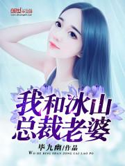 我和美女冰山总裁老婆