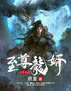 至尊龙婿之叶辰萧初然