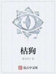 九州龙婿路然