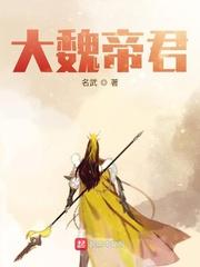 大魏帝君动漫视频