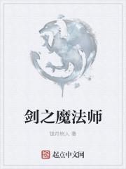 宝可梦剑盾魔法师