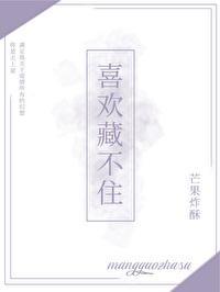 喜欢藏不住txt十夜灯