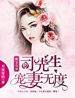 萌宝双司先生宠妻无度免费阅