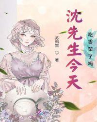 沈先生今天离婚了吗作者未可可