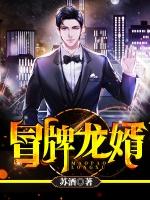 冒牌女婿288章