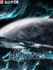 世界boss什么意思
