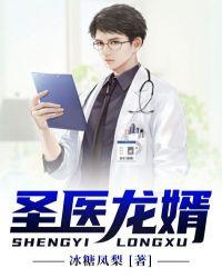 圣医龙婿秦昊林子岚