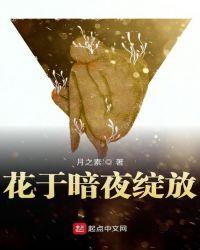 暗夜绽放的玫瑰