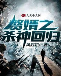 赘婿回归叶凡