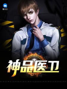 李锋神品医卫免费阅读