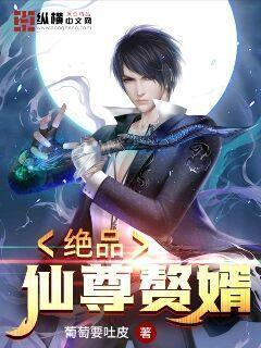 赘婿龙帅叶枫