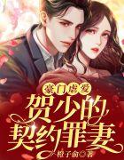 豪门闪婚贺少宠妻上瘾
