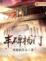丰碑杨门全本TXT奇书网