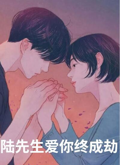 女主顾晚陆绍臣