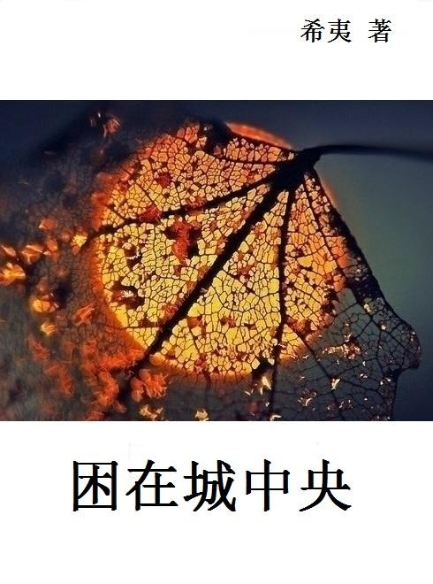 困在城中央by狂上加狂