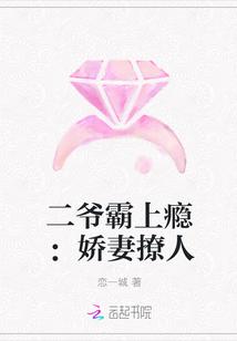 二爷霸气宠文