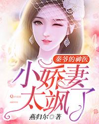 陆朝颜秦商陆免费