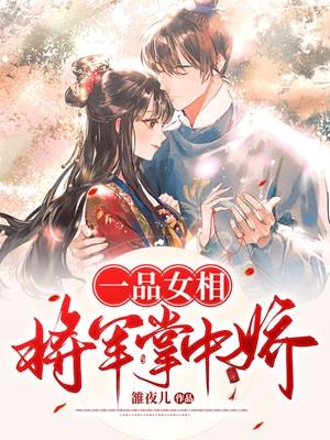 一品女相电视剧