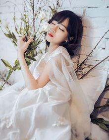 辛研段闻萧