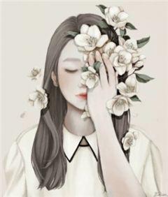 贺锦婳顾星辞姜凝
