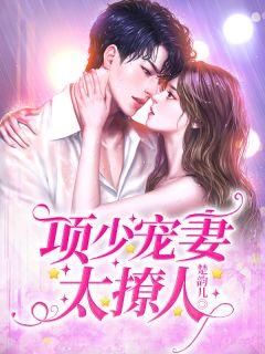 项少爷是什么电视剧