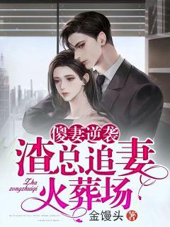 傻妻逆袭渣总追妻火葬场txt