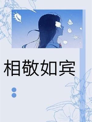 相敬如宾打一数字