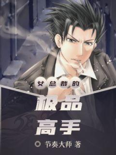 叶枫柳清允全集阅读