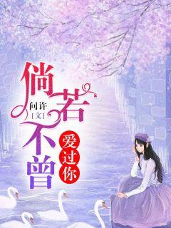 倘若不曾爱过你目录