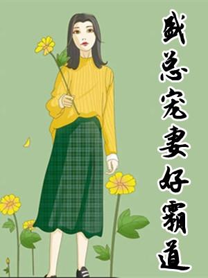 盛宠萌妻总裁大人太腹黑免费阅读全文