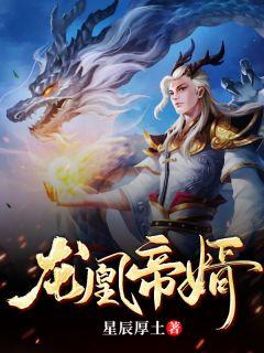 龙十叶倾寒txt