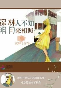 深林人不知明月来相照意蕴