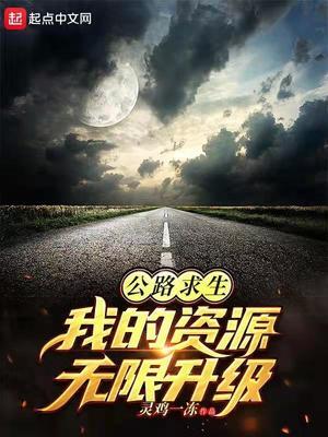 公路求生 从升级