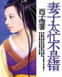 妻子太忙不是错免费阅读全文
