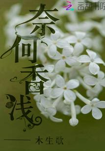 香奈何包包