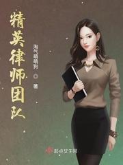 精英律师律师