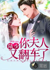 你夫人又翻车了txt