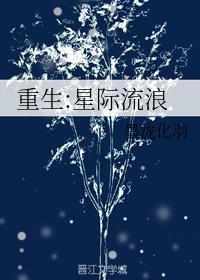 星际流浪评价