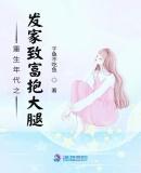 年代发家致富文推荐
