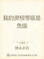 中灵根等级划分