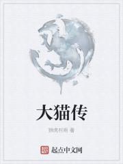 大猫传奇180万年前的非洲视频