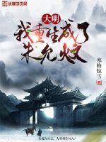 大明我重生成了朱允炆的