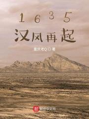 1635汉风再起帝国时代