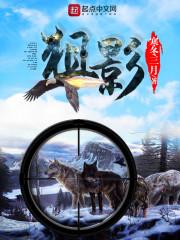 狙影行车记录仪多少钱