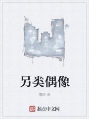 另类追星