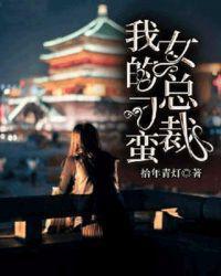 我的刁蛮总裁老婆