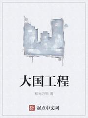 大国工程体会