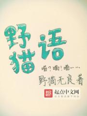野猫语翻译