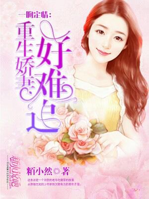 一吻定情溺宠小甜妻